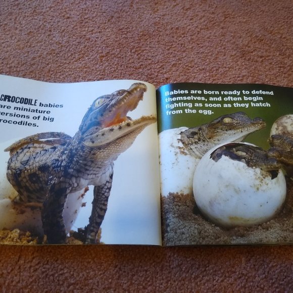 COPY - Unique, dual nonfiction book about snakes and crocodiles - Picture 4 of 4